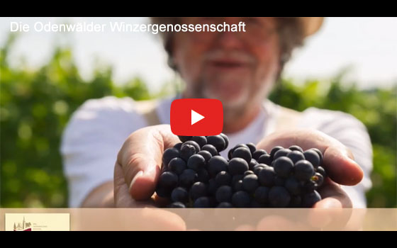 Video "Die Odenwälder Winzergenossenschaft"